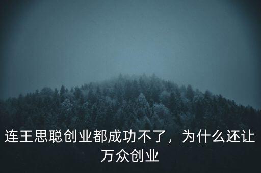 連王思聰創(chuàng)業(yè)都成功不了，為什么還讓萬眾創(chuàng)業(yè)