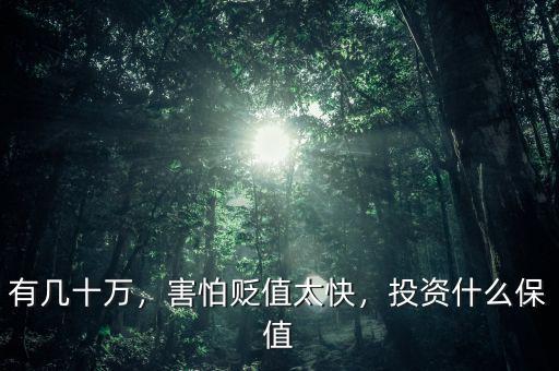 有幾十萬，害怕貶值太快，投資什么保值