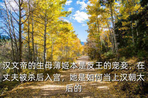 漢文帝的生母薄姬本是反王的寵妾，在丈夫被殺后入宮，她是如何當(dāng)上漢朝太后的