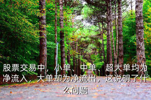 股票交易中，小單、中單、超大單均為凈流入，大單卻為凈流出，這說明了什么問題