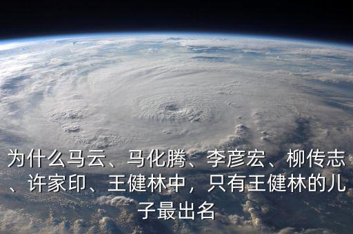 為什么馬云、馬化騰、李彥宏、柳傳志、許家印、王健林中，只有王健林的兒子最出名