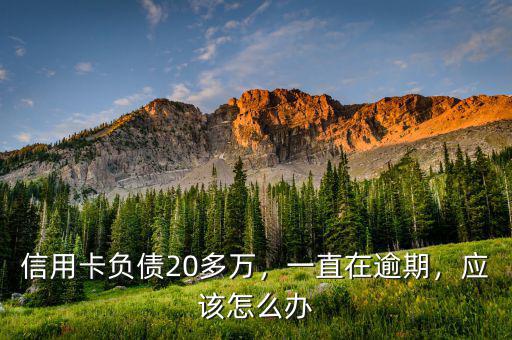 信用卡負債20多萬，一直在逾期，應該怎么辦