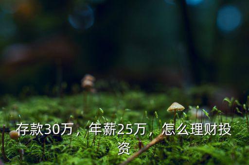 存款30萬，年薪25萬，怎么理財(cái)投資