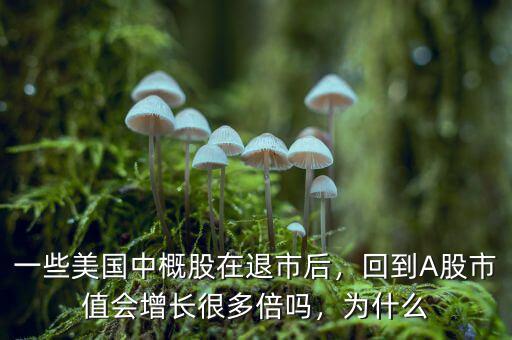 一些美國(guó)中概股在退市后，回到A股市值會(huì)增長(zhǎng)很多倍嗎，為什么