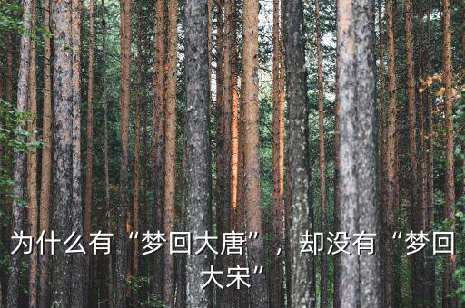 為什么有“夢回大唐”，卻沒有“夢回大宋”