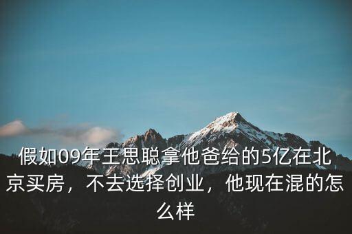 假如09年王思聰拿他爸給的5億在北京買房，不去選擇創(chuàng)業(yè)，他現(xiàn)在混的怎么樣