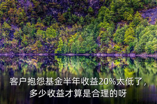 客戶抱怨基金半年收益20%太低了，多少收益才算是合理的呀