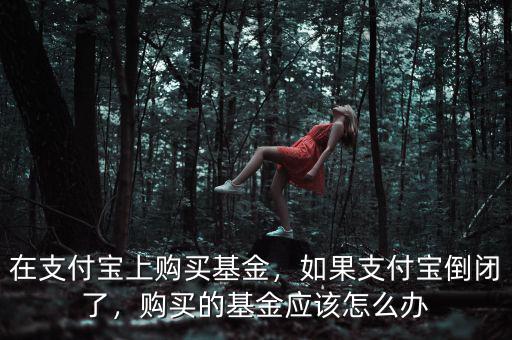 在支付寶上購買基金，如果支付寶倒閉了，購買的基金應(yīng)該怎么辦