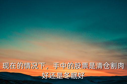 現在的情況下，手中的股票是清倉割肉好還是冬眠好