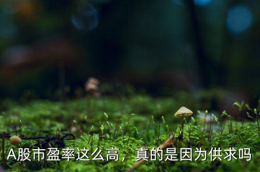 A股市盈率這么高，真的是因?yàn)楣┣髥? class=
