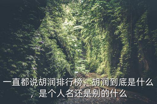 一直都說胡潤排行榜，胡潤到底是什么，是個人名還是別的什么