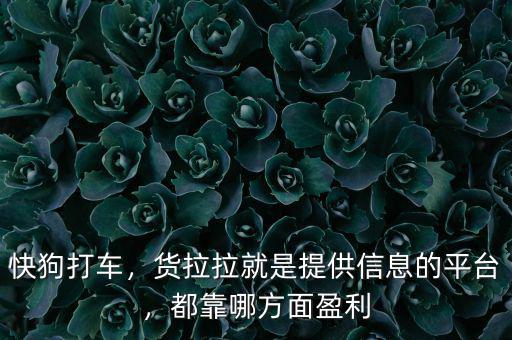 快狗打車，貨拉拉就是提供信息的平臺，都靠哪方面盈利