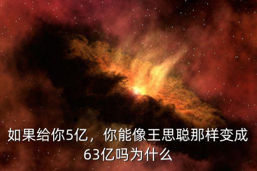 如果給你5億，你能像王思聰那樣變成63億嗎為什么
