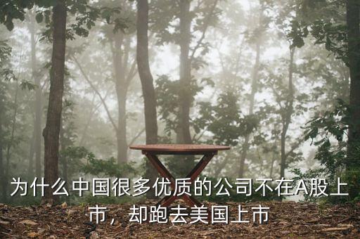為什么中國很多優(yōu)質(zhì)的公司不在A股上市，卻跑去美國上市