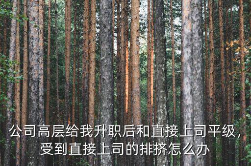 公司高層給我升職后和直接上司平級(jí)，受到直接上司的排擠怎么辦