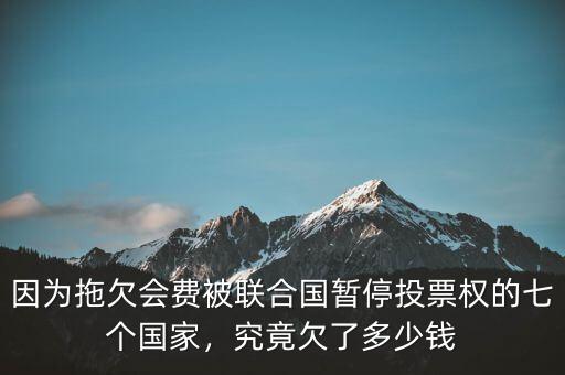 因為拖欠會費被聯(lián)合國暫停投票權的七個國家，究竟欠了多少錢