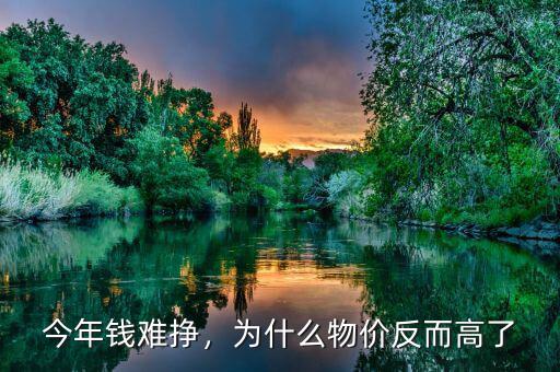 今年錢難掙，為什么物價反而高了