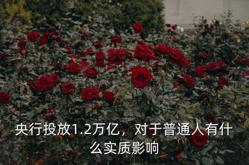 央行投放1.2萬億，對(duì)于普通人有什么實(shí)質(zhì)影響