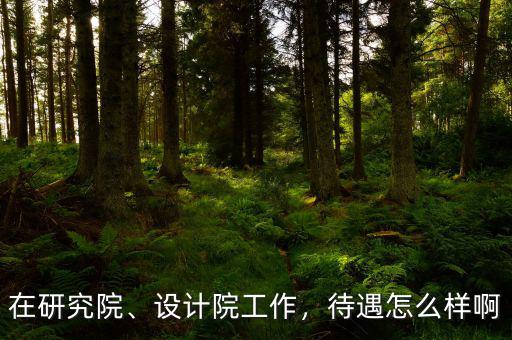 在研究院、設計院工作，待遇怎么樣啊