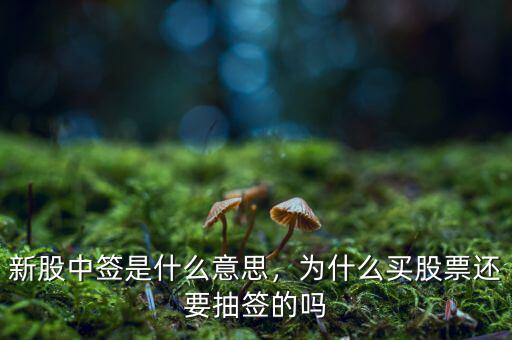 新股中簽是什么意思，為什么買股票還要抽簽的嗎