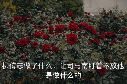 柳傳志做了什么，讓司馬南盯著不放他是做什么的