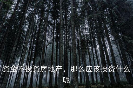 資金不投資房地產(chǎn)，那么應該投資什么呢