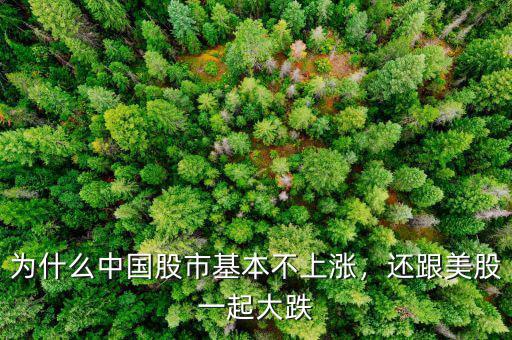 為什么中國股市基本不上漲，還跟美股一起大跌