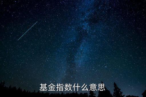 指數(shù)基金是什么意思,基金指數(shù)什么意思