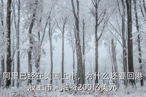 阿里已經(jīng)在美國上市，為什么還要回港股上市，融資200億美元