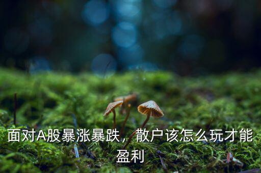面對A股暴漲暴跌，散戶該怎么玩才能盈利