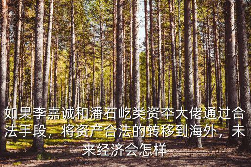 如果李嘉誠和潘石屹類資夲大佬通過合法手段，將資產(chǎn)合法的轉(zhuǎn)移到海外，未來經(jīng)濟會怎樣
