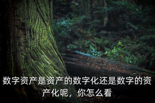 什么是數(shù)字資產,如何守衛(wèi)數(shù)字資產