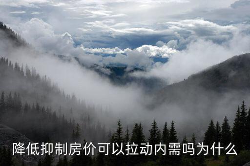降低抑制房價(jià)可以拉動(dòng)內(nèi)需嗎為什么
