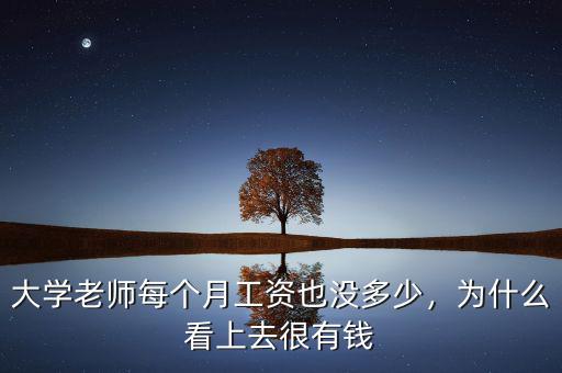 大學(xué)老師每個(gè)月工資也沒多少，為什么看上去很有錢