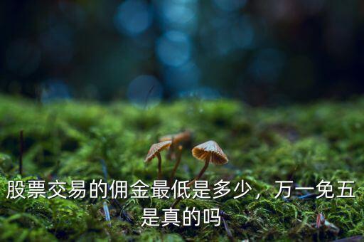 股票交易的傭金最低是多少，萬(wàn)一免五是真的嗎