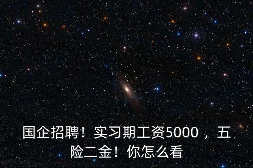國企招聘！實習(xí)期工資5000 ，五險二金！你怎么看