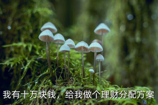 我有十萬(wàn)塊錢(qián)，給我做個(gè)理財(cái)分配方案