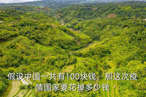 假設(shè)中國一共有100塊錢，那這次疫情國家要花掉多少錢