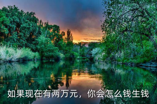 如果現(xiàn)在有兩萬元，你會怎么錢生錢