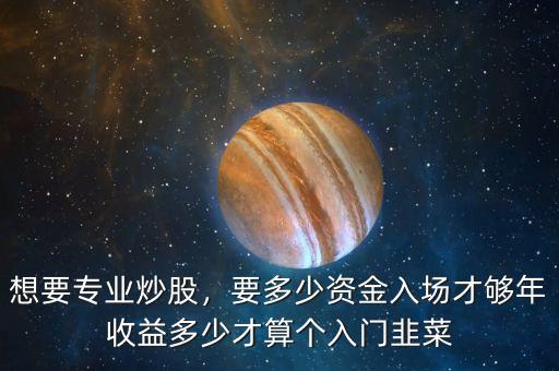 想要專業(yè)炒股，要多少資金入場才夠年收益多少才算個入門韭菜