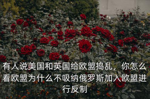有人說美國和英國給歐盟搗亂，你怎么看歐盟為什么不吸納俄羅斯加入歐盟進(jìn)行反制