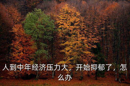 人到中年經(jīng)濟壓力大，開始抑郁了，怎么辦