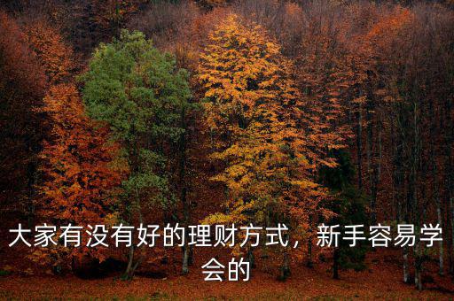 大家有沒有好的理財方式，新手容易學會的