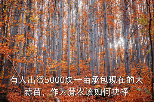 有人出資5000塊一畝承包現在的大蒜苗，作為蒜農該如何抉擇