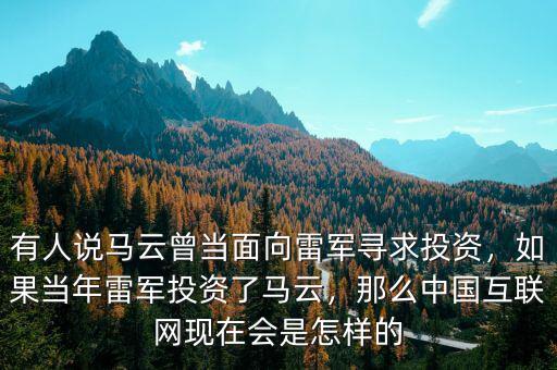 馬云怎么拿到投資的,馬云的資產是怎么理財的