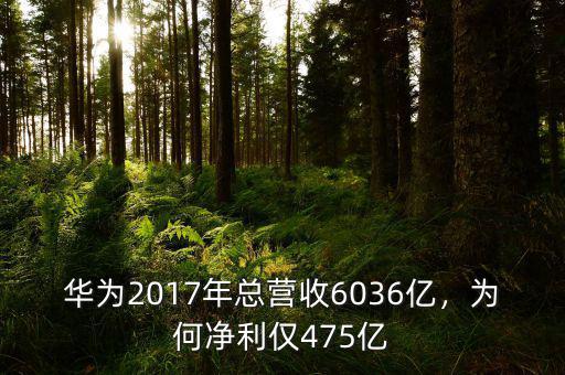 華為2017年總營收6036億，為何凈利僅475億