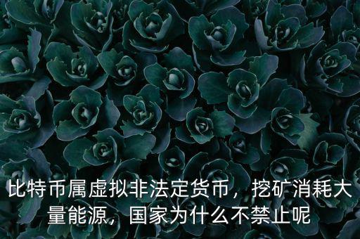 比特幣屬虛擬非法定貨幣，挖礦消耗大量能源，國家為什么不禁止呢