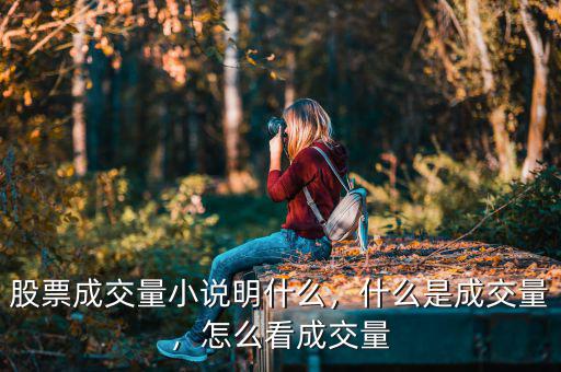 股票成交量小說明什么，什么是成交量，怎么看成交量