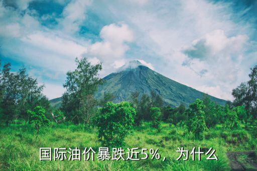國(guó)際油價(jià)暴跌近5%，為什么