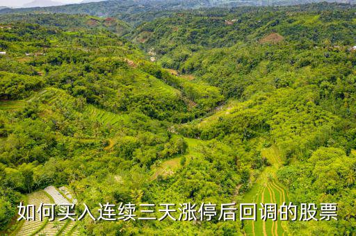 如何買(mǎi)入連續(xù)三天漲停后回調(diào)的股票